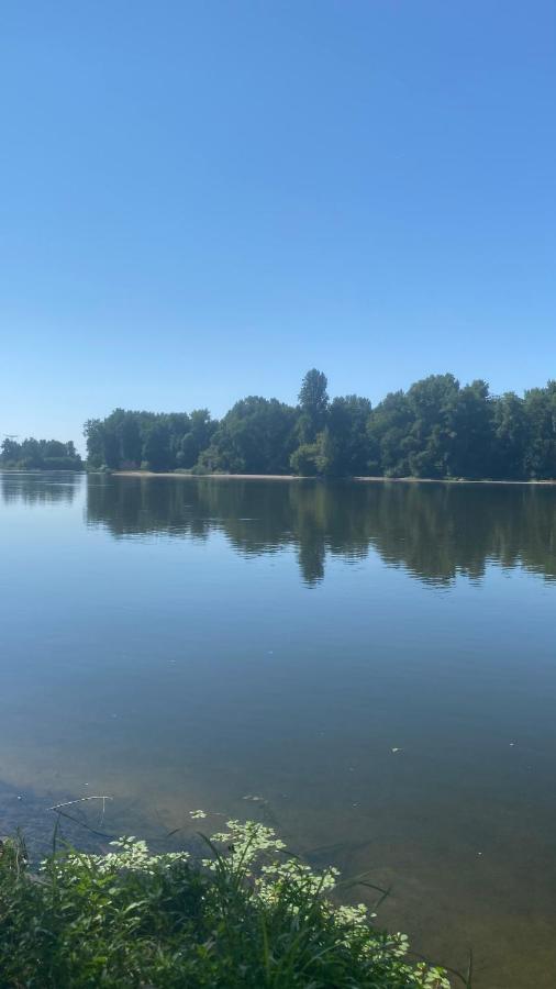 Blanche de Castille Bléneau Esterno foto